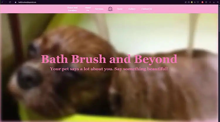 Bath Brush and Beyond website screenshot