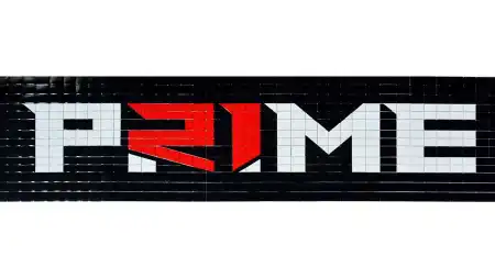 Prime logo before